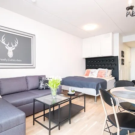 Trendy Homes With Free Parking * オウル